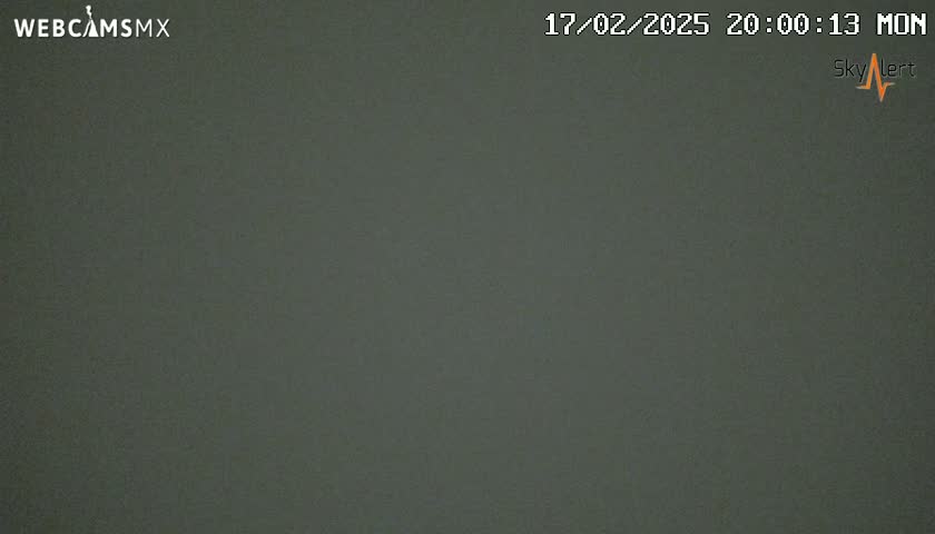 A dark gray or greenish-gray screen displays a solid, uniform color.