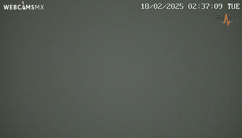 A uniformly dark gray image shows a solid, featureless field of view.