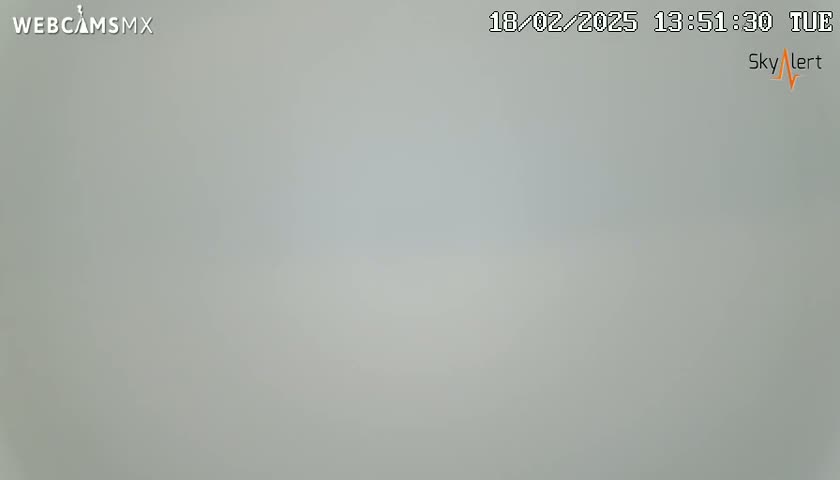 A uniformly light gray, overcast sky is visible.
