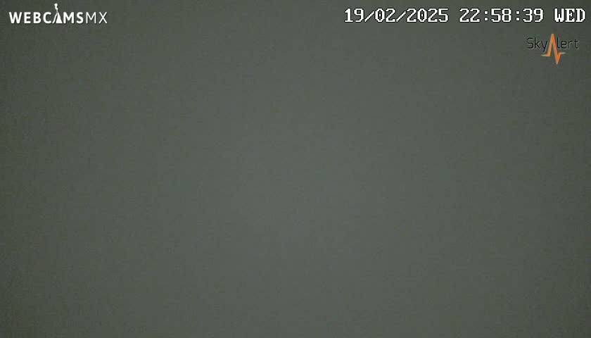 The image shows a uniformly dark gray or greenish-gray screen.