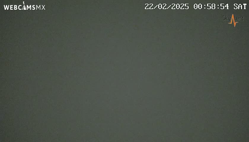 A dark gray or green screen displays a solid, uniform color.