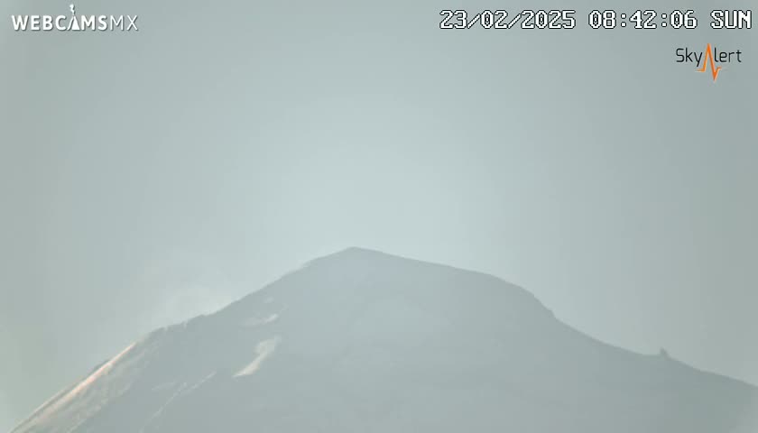 A hazy, distant view of a mountain peak is visible under a light-grey sky.