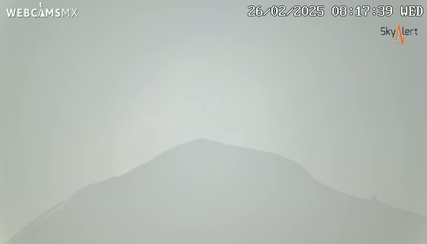 A hazy, light-grey mountain is visible in the distance under a foggy sky.