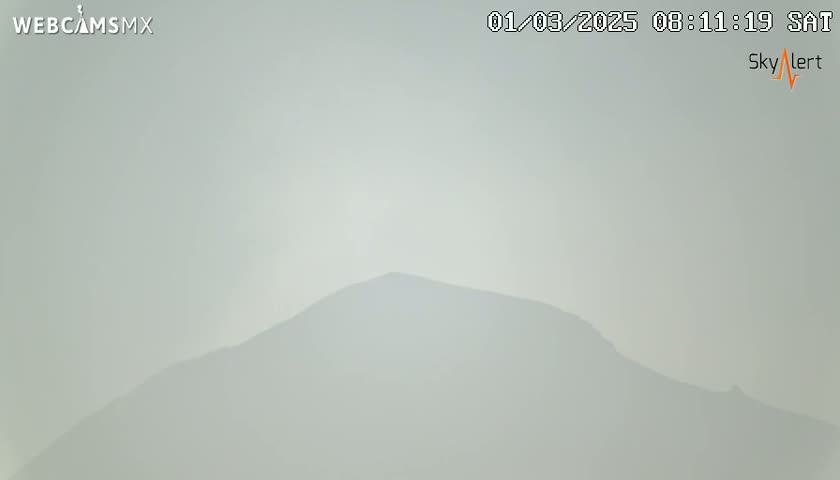 A hazy, light-grey mountain is visible in the distance under an overcast sky.