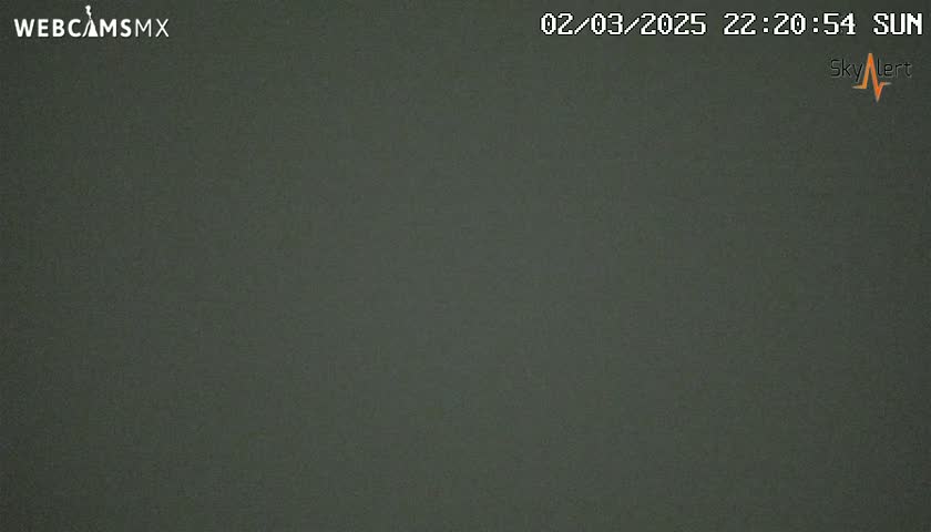 A dark gray or greenish-gray, uniformly colored image shows a night-time outdoor scene under a clear sky.