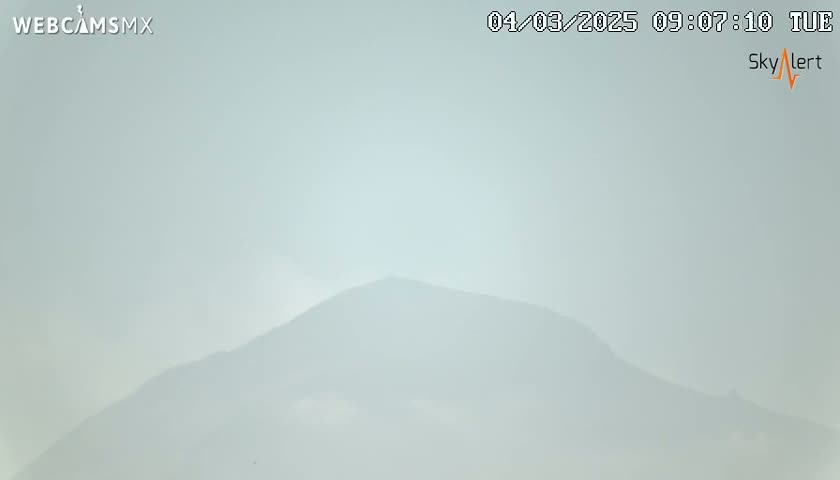 A hazy, light-grey mountain is visible under a mostly clear, light-grey sky.