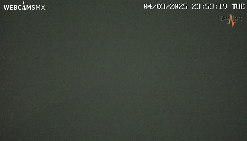 A dark, uniformly colored, nighttime image shows a solid, dark-green surface.