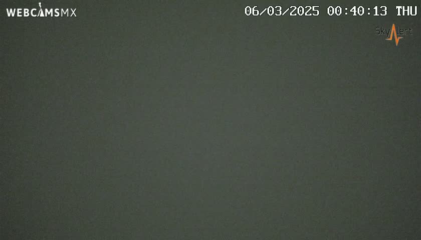 A dark, uniformly colored image shows a solid, muted green screen.