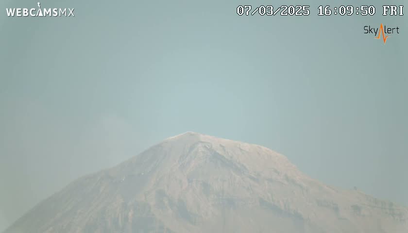 A hazy, snow-capped mountain is visible under a light-blue sky.