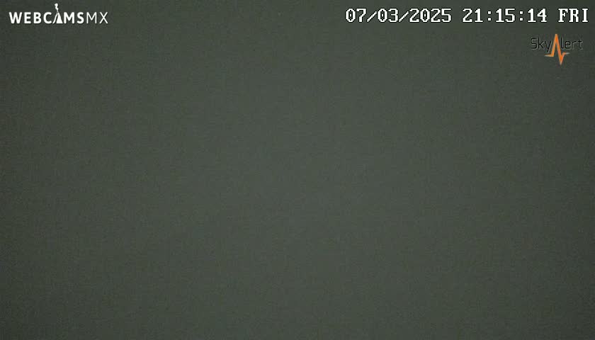 A dark, uniformly colored image shows a solid, muted greenish-gray surface.