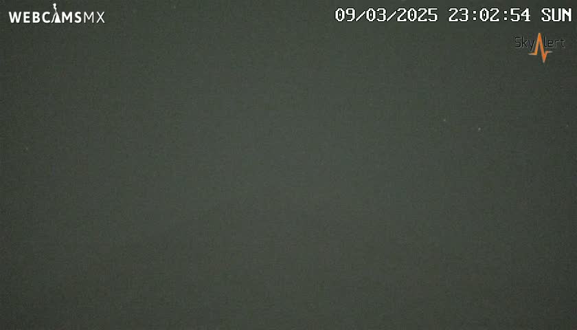 A dark, possibly nighttime, outdoor scene is shown, with a uniformly dark gray or black sky.