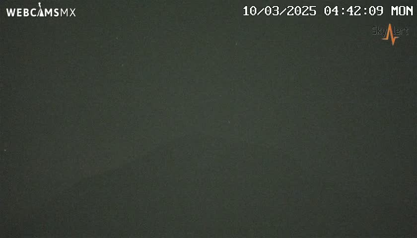 A dark, uniformly colored image shows a solid dark-green or black surface.