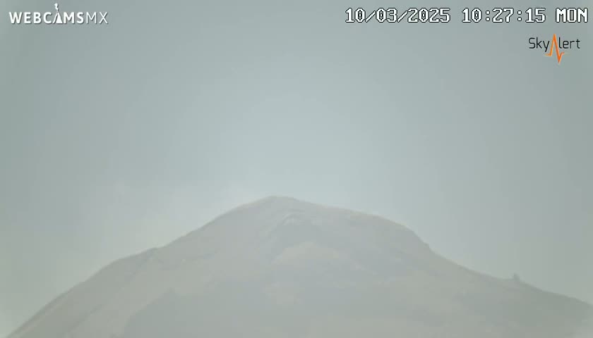 A hazy, distant view of a mountain is visible under a pale, overcast sky.