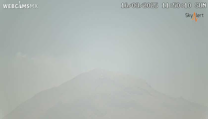 A hazy, light-grey mountain is visible under a hazy sky.