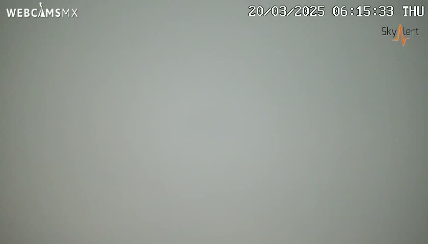 A solid, light gray background fills the entire frame.