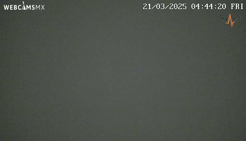 The image shows a uniformly dark gray or greenish-gray surface.