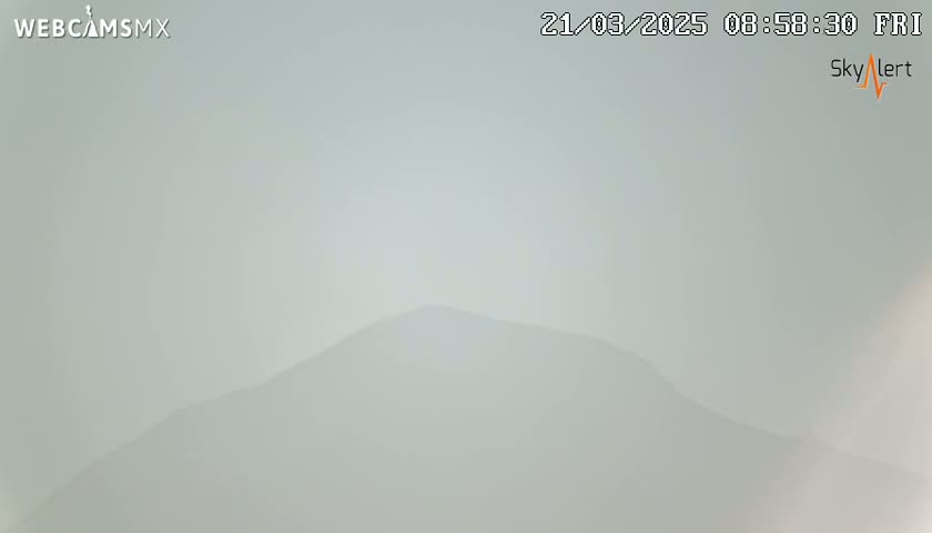 A hazy, light-grey mountain is visible in the distance under a foggy sky.