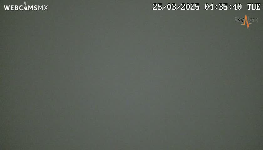 A solid, dark gray field fills the entire frame.
