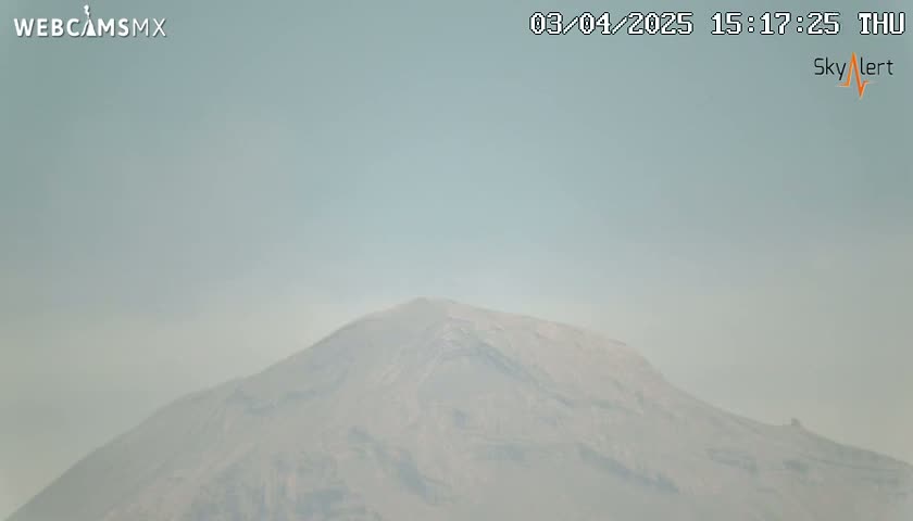 A hazy, light-grey mountain is visible under a pale sky.