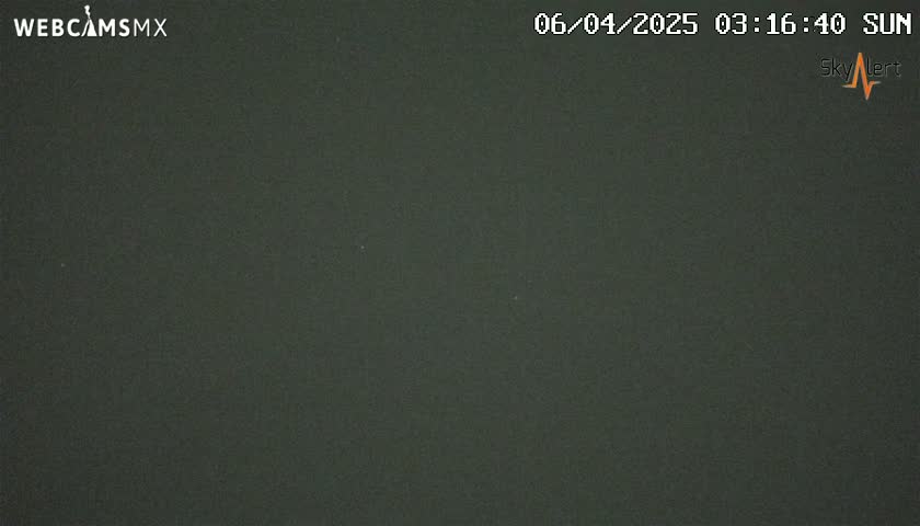 A dark-green, uniformly colored screen is displayed under sunny conditions.