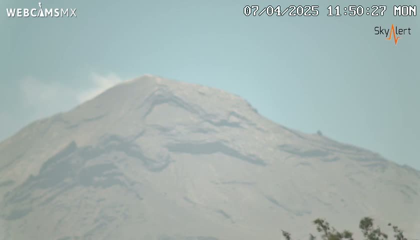 A hazy, light-grey mountain is visible under a clear, light-blue sky.