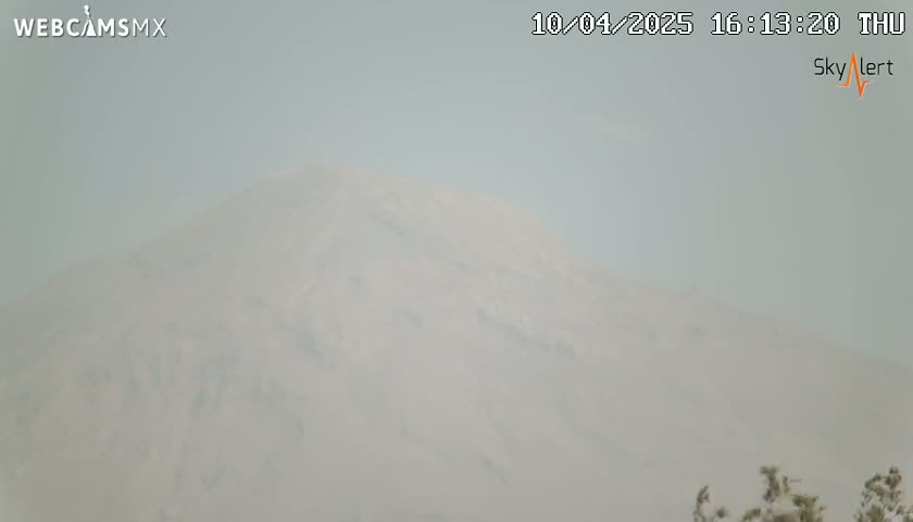 A hazy, distant mountain is visible under a gray sky.