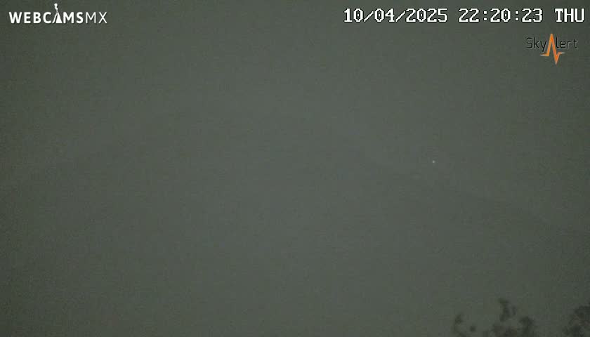 A dark, overcast night scene shows a small bit of vegetation at the bottom of the frame.