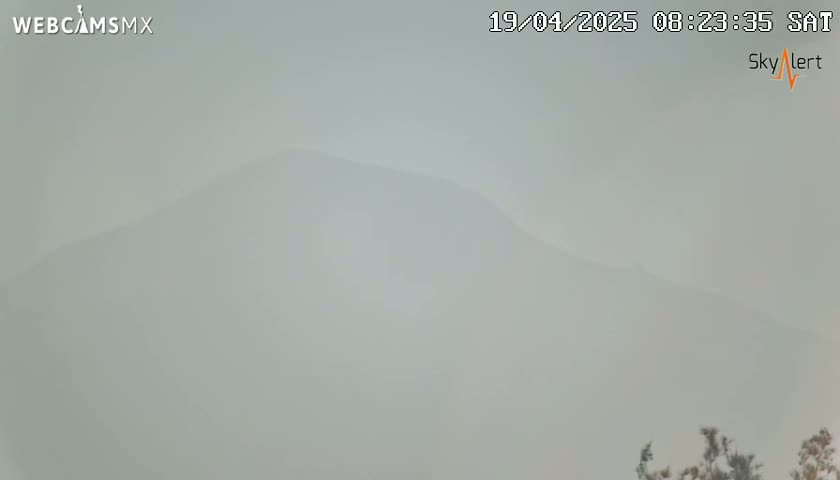A hazy, foggy view shows a distant mountain range and some vegetation at the bottom.