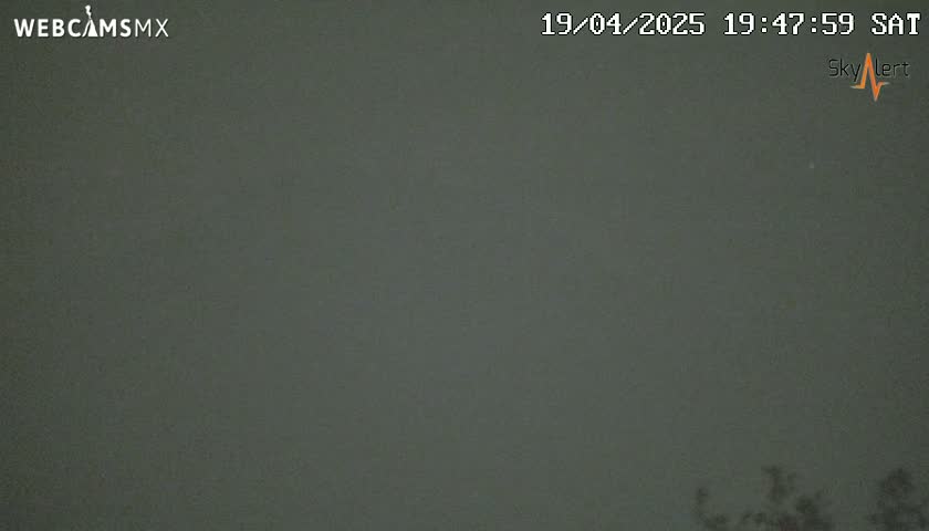 A dark, overcast night sky is visible, with a bit of foliage barely visible at the bottom edge of the frame.