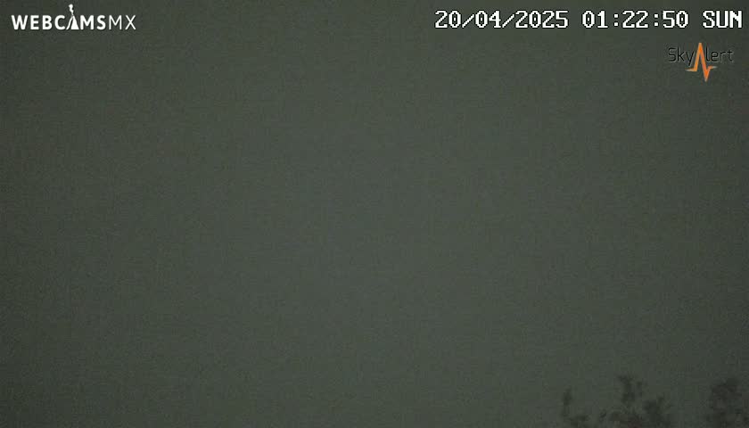 A dark, overcast sky is visible at night, with a hint of vegetation at the bottom edge.