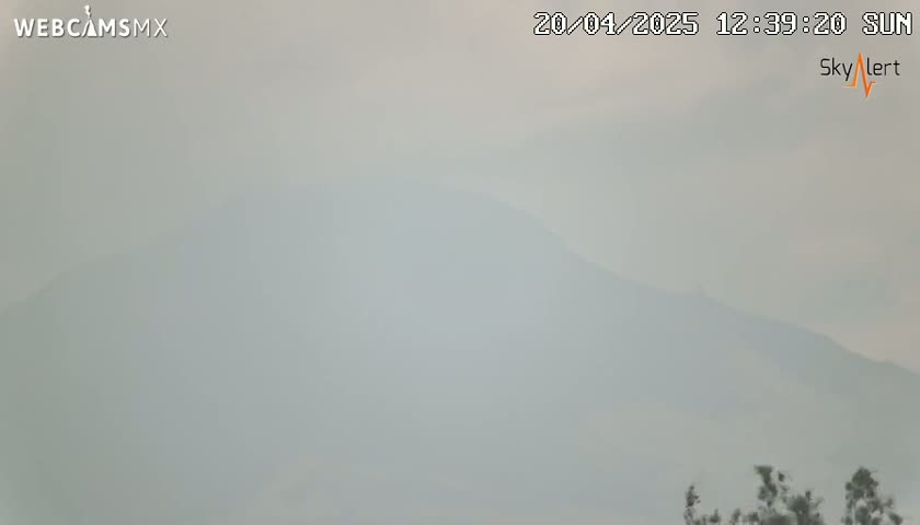 A hazy, sunlit view shows a mountain range in the distance, with some vegetation visible at the bottom of the frame.