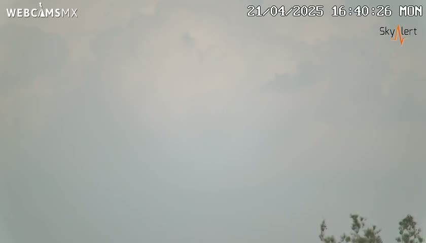 A hazy, overcast sky is visible above some sparse, dark green vegetation at the bottom of the frame.