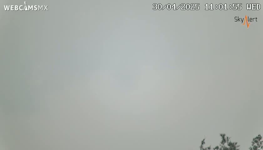 A hazy, overcast sky is visible above a small portion of dark green vegetation at the bottom of the frame.
