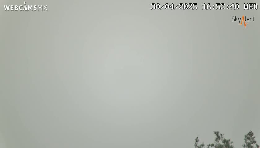A mostly overcast sky is visible above a small portion of dark green vegetation at the bottom of the frame.