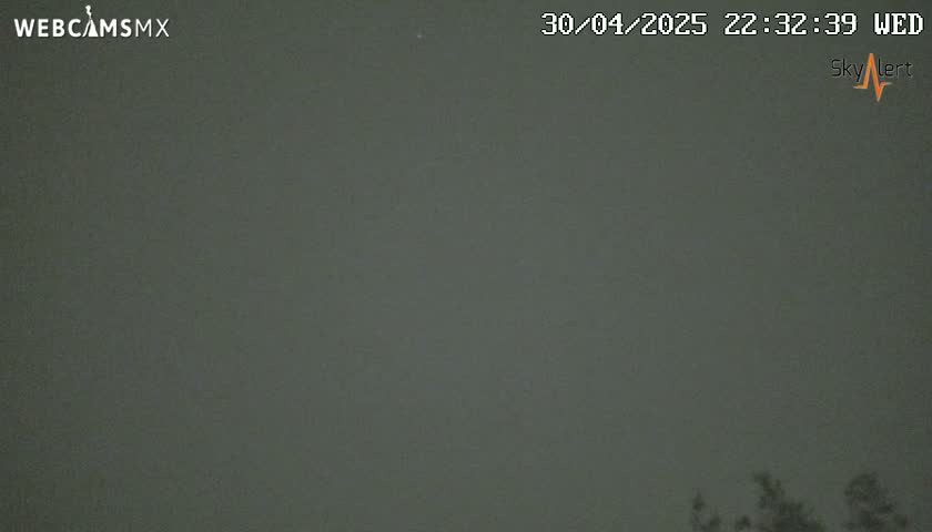 A dark, overcast night scene shows a few trees at the bottom of the frame.