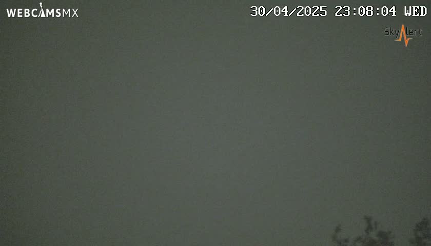 A dark, overcast night scene shows a bit of dark foliage at the very bottom of the frame.