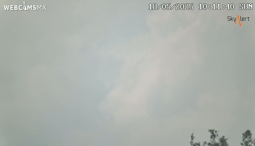 A mostly cloudy sky is visible, with a few hints of brighter areas, and the top of some trees are seen at the bottom of the frame.