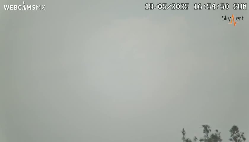 A hazy, overcast sky is visible above a small portion of dark green vegetation at the bottom of the frame.