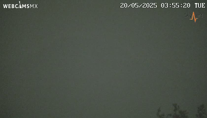 A dark, overcast sky is visible above a bit of dark foliage at the bottom of the frame.