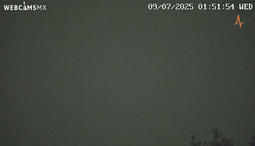 A dark, overcast nighttime scene shows a bit of foliage at the bottom of the frame.