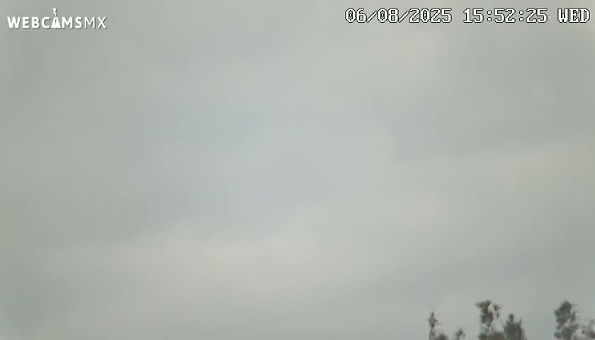 A mostly overcast sky with a hint of lighter color near the center, and some dark green vegetation visible at the bottom.