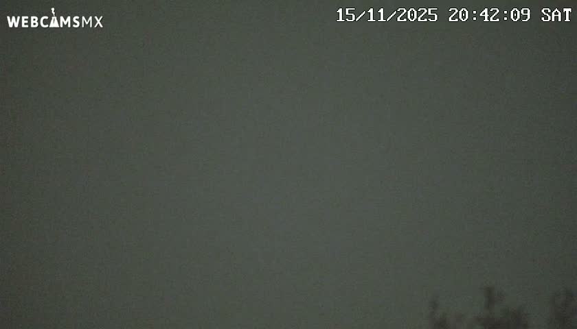 A dark, overcast night sky dominates the scene, with faint, shadowy outlines of foliage just visible along the bottom edge.