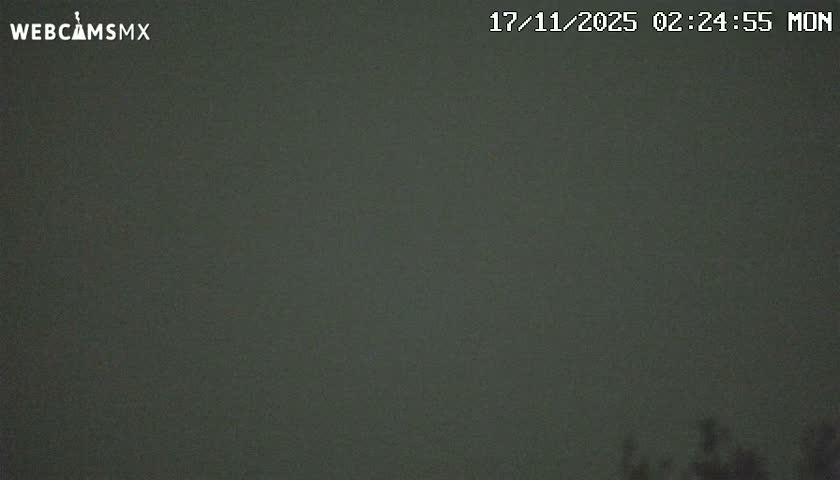 The image shows a very dark, overcast night scene outdoors, with barely discernible silhouettes of treetops visible at the bottom right.