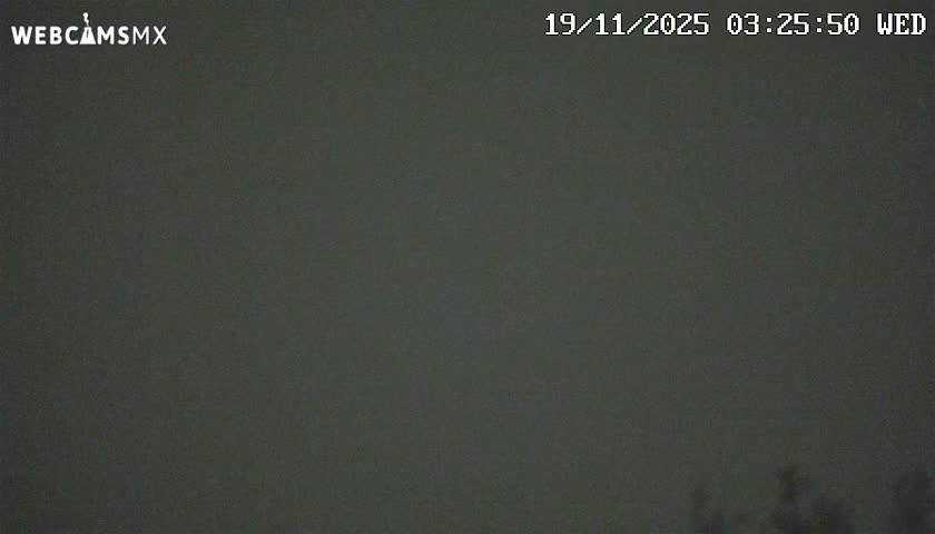 A dark, heavily overcast night sky is depicted, with the faint silhouettes of tree tops visible along the bottom edge.