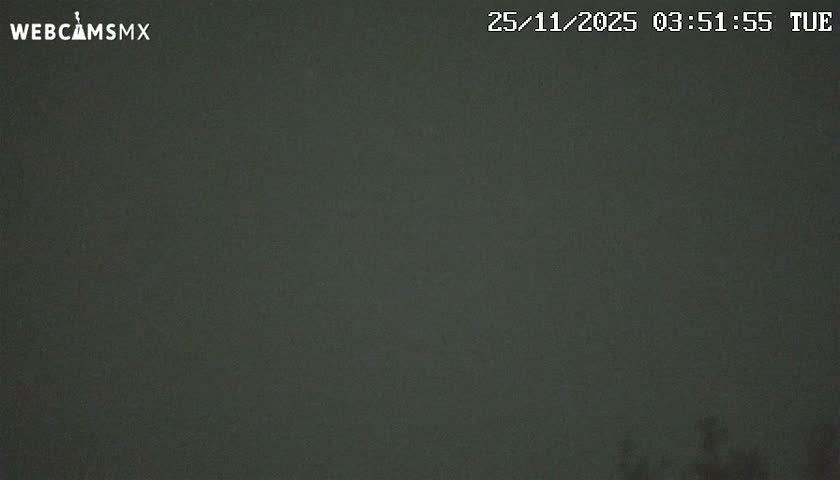 An extremely dark, grainy outdoor scene at night, with barely discernible silhouettes of vegetation at the bottom right and very limited visibility.