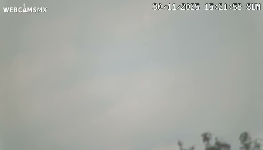 An extremely dark, grainy outdoor scene at night, with barely discernible silhouettes of vegetation at the bottom right and very limited visibility.