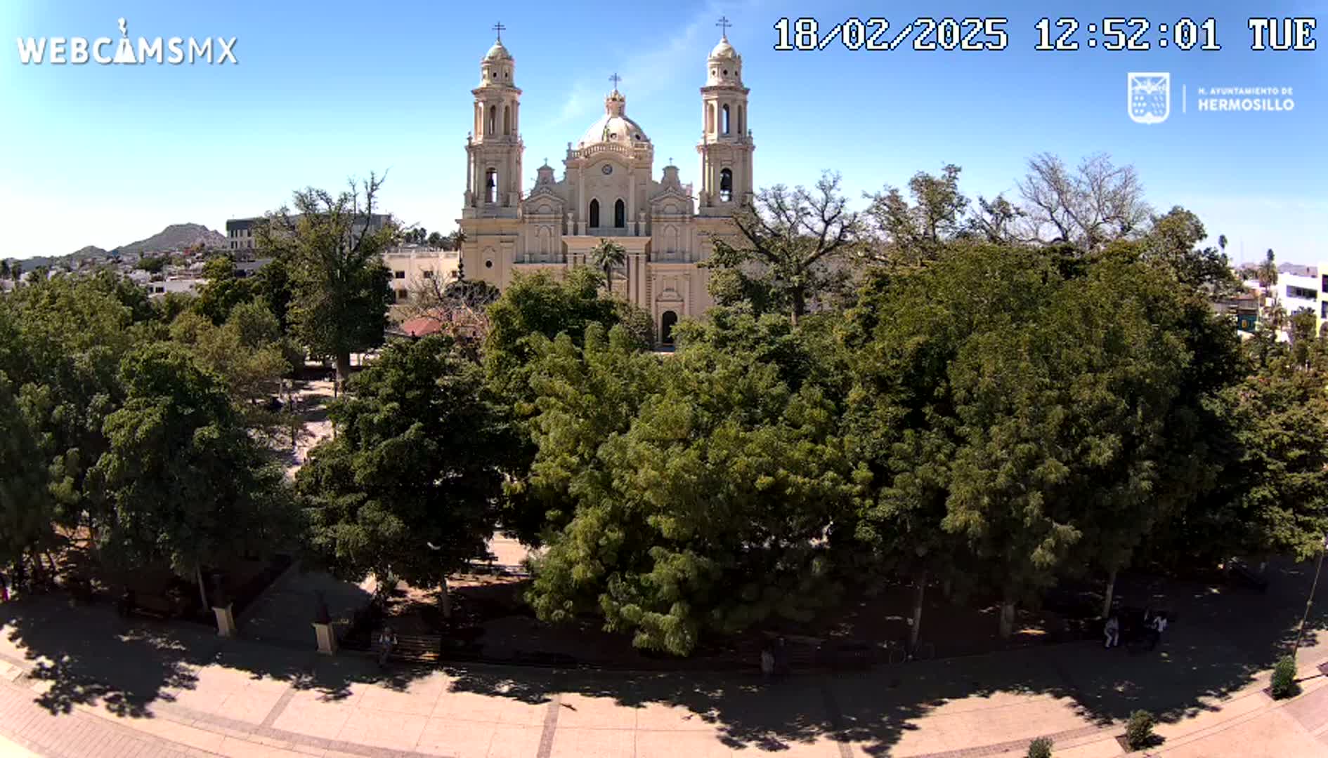 A large tan cathedral stands behind a plaza filled with lush green trees under a clear blue sky.