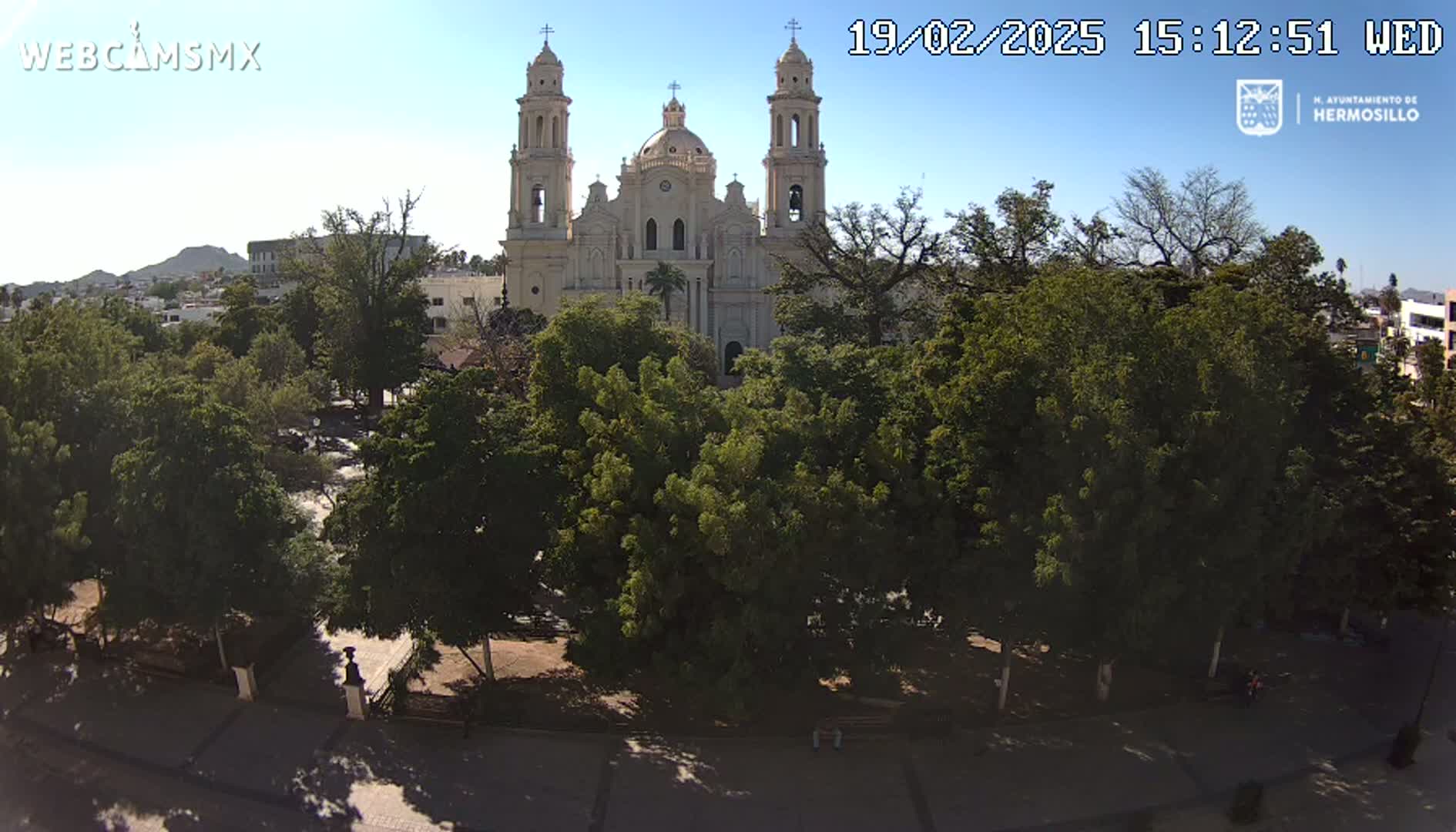 A large cathedral stands behind a plaza filled with leafy green trees under a clear, sunny sky.