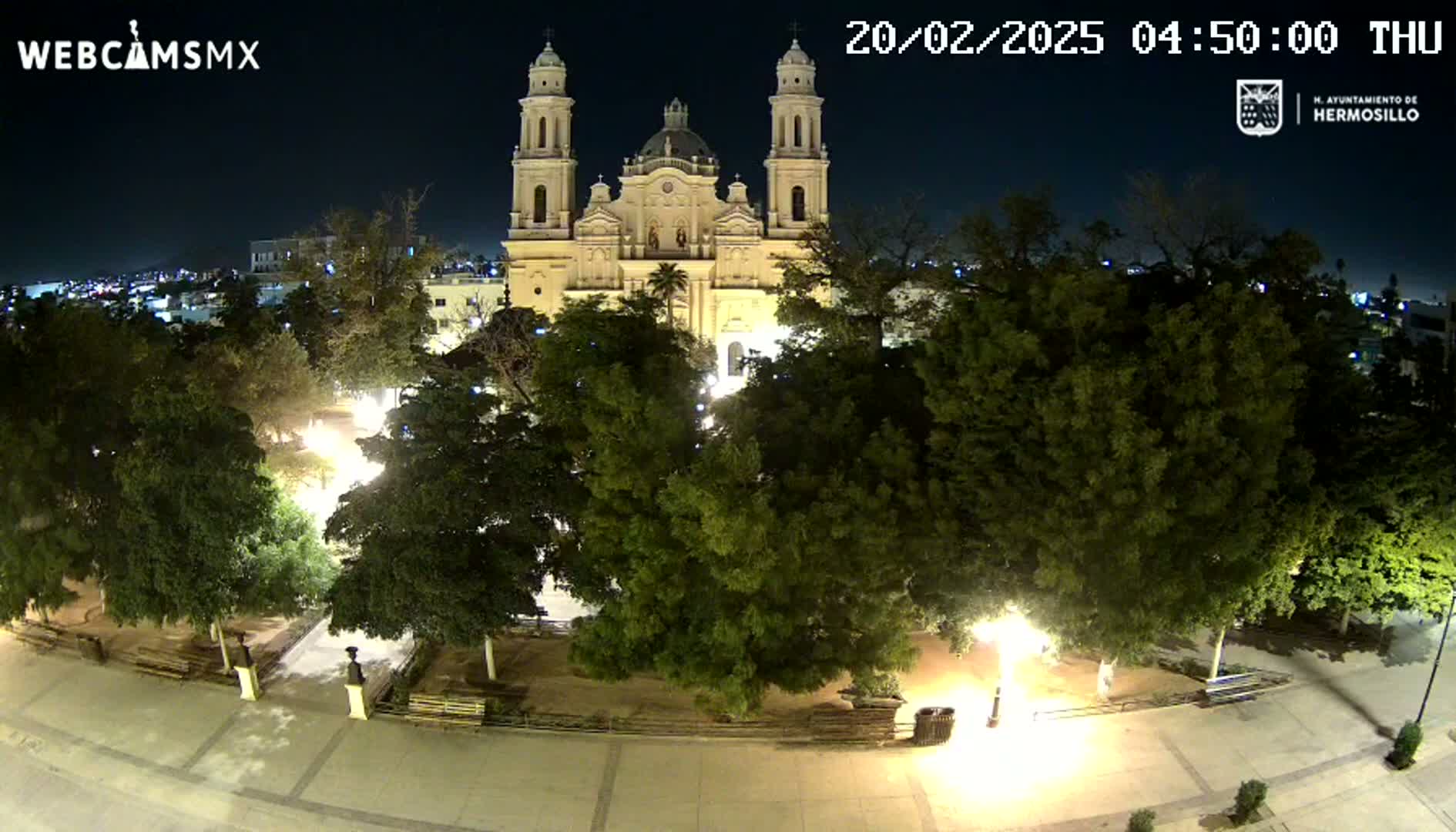A brightly lit cathedral stands behind a plaza filled with lush green trees at night.