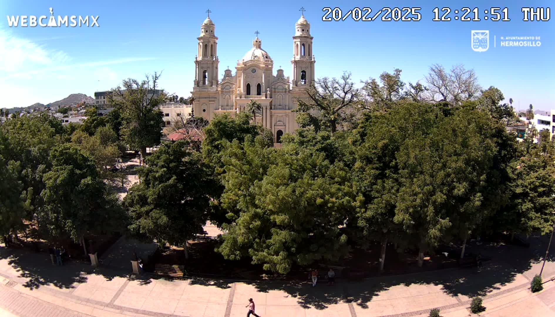A large, light-colored cathedral stands behind a plaza filled with lush green trees under a clear, sunny sky.